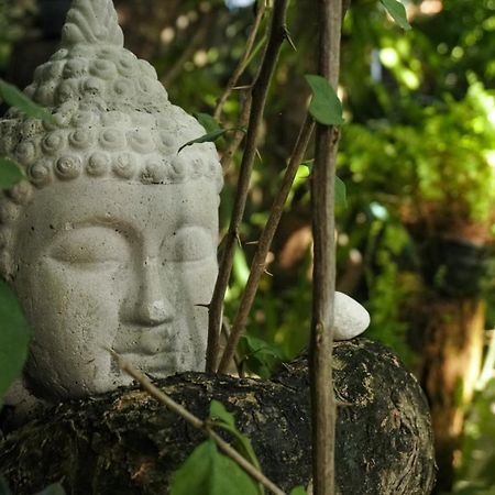 Pousada Zen Caraiva Bagian luar foto