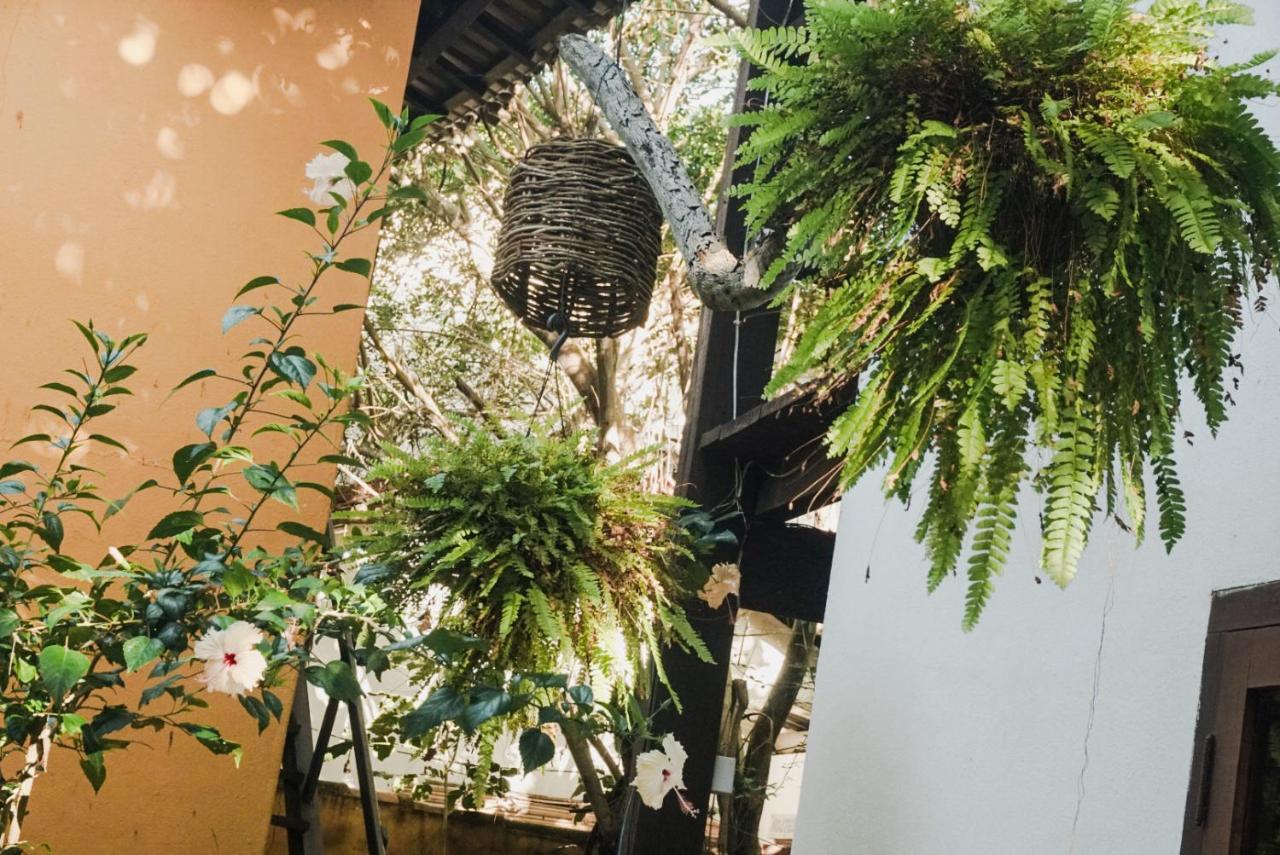 Pousada Zen Caraiva Bagian luar foto